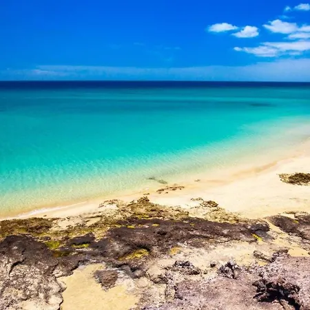 Casa Zizi Apartment *