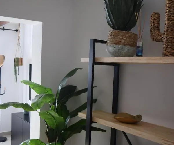 Casa Zizi Апартаменты Коста Калма