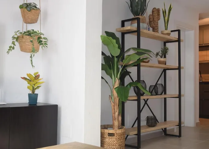 Casa Zizi Апартаменты