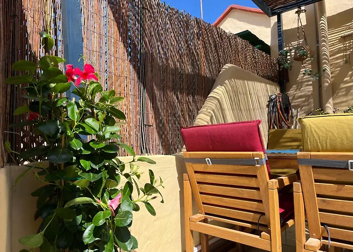Casa Zizi Коста Калма