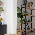 Casa Zizi Apartman